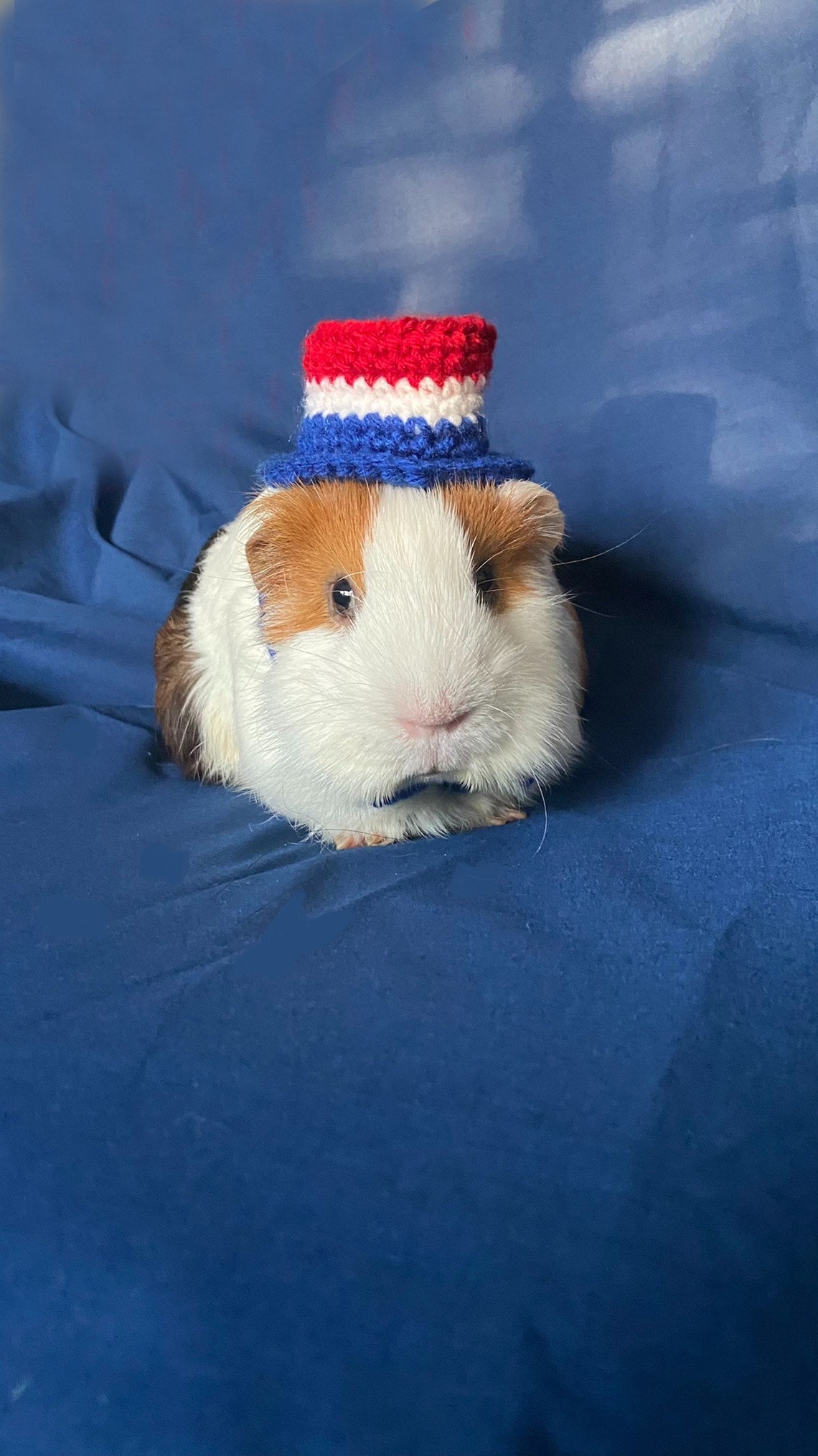 Fourth of July Hat For Guinea Pigs and Other Small Animals Etsy