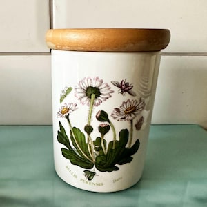 Vintage Portmeirion Vorratsdose / Vorratsdose mit Deckel