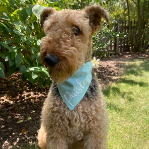 Reversible Dog Bandanna Over the Collar pet bandanna Mint and Sage Green Personalized Pet bandanna sewcutebyaddiek image 2