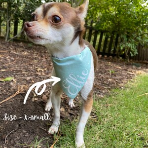 Reversible Dog Bandanna Over the Collar pet bandanna Mint and Sage Green Personalized Pet bandanna sewcutebyaddiek image 9