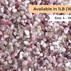 Peut inclure: Gros plan sur un tas de petites pierres roulées roses et blanches. Les pierres sont de formes et de tailles variées, allant de 5 à 10 millimètres. Disponible en 1 LB (16oz).