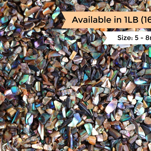 1LB Bulk Rainbow Abalone Shell Chips, Undrilled, Natural, Colorful Kawaii, Tiny Decorative Bits, Multicolored Pieces, Inlay Crafts, 5 to 8mm