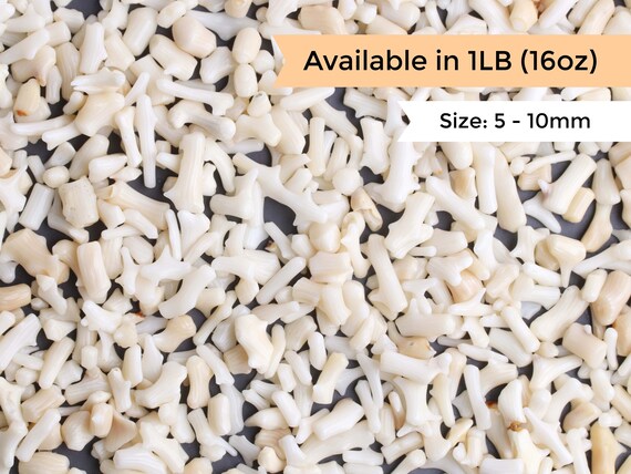 1LB Bulk White Coral Crystal Chips, Undrilled, Saltwater Fish Tank Gravel,  Plant Fairy Garden, Landscaping Rocks, DIY Resin Craft, to 10mm