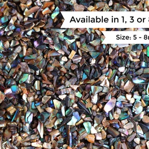 May include: A close-up of iridescent abalone shell pieces, ranging in size from 5 to 8 mm. Available in 1, 3, or 8 ounces.
