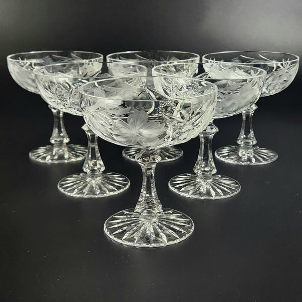 Vintage - Prachtige geslepen kristallen champagne/lage sorbetglazen - Lijkt op Nachtmann-traube - Set van 6