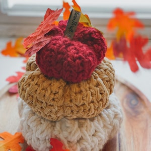 CROCHET PATTERN \ Textured Pumpkins \ Crochet Decor \ Crochet Pumpkin Pattern \ Boho Fall Decor