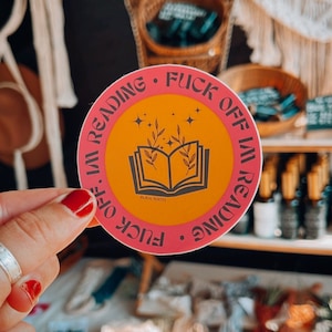 Sassy Vinyl Sticker: Swear Word, Water Bottle, Laptop