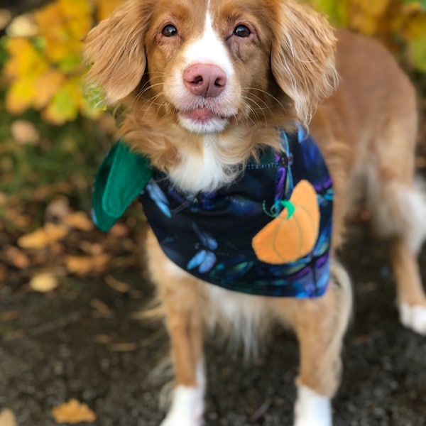 Pet Bandana for Dogs and Cats, Tie Bandana, Handcrafted Pet Gift