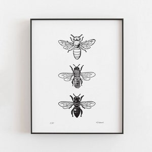 Bees Christmas gift | Bees art print | gallery wall art poster | bees gift | farmhouse kitchen decor | country home decor | country art A4