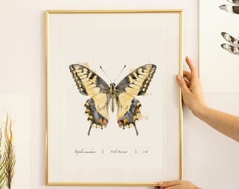 Swallowtail Butterfly watercolour, Summer wall art, soft decor, Butterflies painting, Natural Life Fine Art