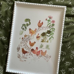 Op de afbeelding: Een ingelijst aquarel schilderij van een groep kippen die over een stenen pad lopen. De kippen zijn bruin en wit met rode kammen. Het pad is omgeven door groene planten en roze bloemen.