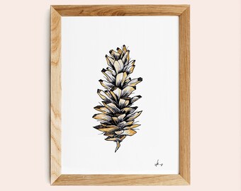 Pine cone art, pine cone poster, pine cone A4 print, pine cone decor, woodland wall art, cabin wall art, cabin decor, cabin gift, signed art