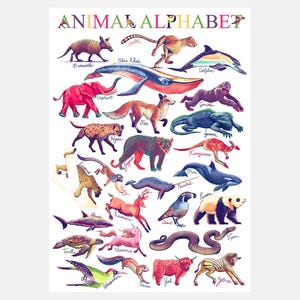 Alfabeto Animal - Impressão Giclée