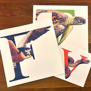 Alfabeto Animal - Impressão Giclée Personalizada