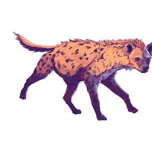 Ilustração Hiena - Impressão Giclée - Alfabeto Animal