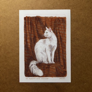 Original Cat Drawing - "An Elegant White Creature"