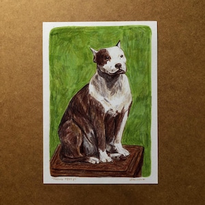 Original Dog Drawing - &quot;Proud Pitty&quot;