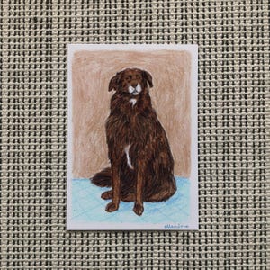 A6 Original Dog Drawing - Brown Retriever
