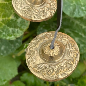 May include: Two gold-coloured cymbals with intricate designs hanging from black cords. The cymbals are suspended against a backdrop of green leaves.