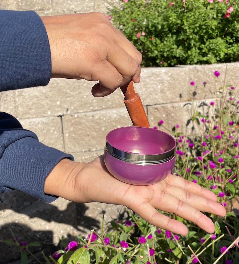 May include: A purple singing bowl with a silver rim and a wooden striker. The bowl is being held in a person's hand.