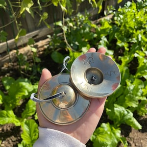 May include: Two small, round, brass cymbals with a black leather strap connecting them. The cymbals have the number "2" engraved on them.