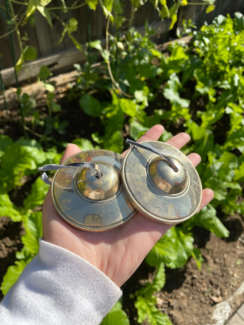 May include: Two small, round, brass cymbals with black string handles. The cymbals are held in a hand wearing a white long-sleeved shirt.