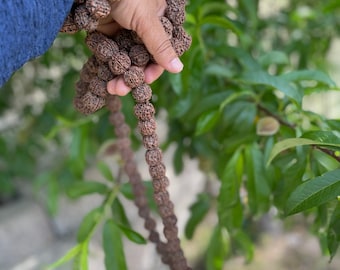 Genuine Rudraksha Seed Mala: 108 Bead Himalayan Prayer Necklace