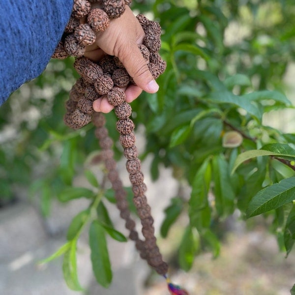 SAC CADEAU GRATUIT ! Rudraksha Mala grandes perles de prière véritable graine 108 perles de prière himalayennes méditation relaxation yoga perle népal collier