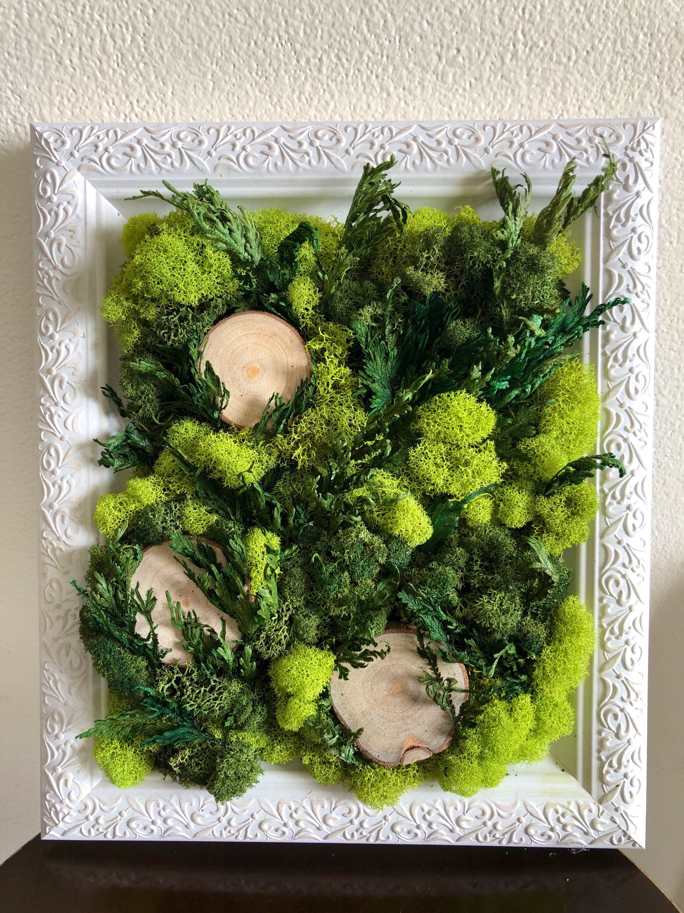Wall Preserved Moss Art Etsy