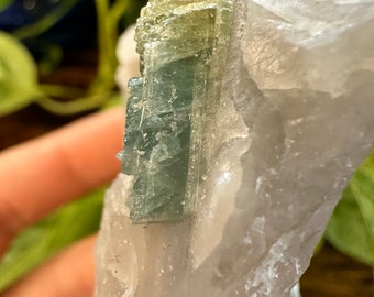 Indicolite Tourmaline in Quartz - 3rd Eye - Throat Chakra - Rare Crystal - Activation - Psychic Abilities - Inner Vision - Channeling