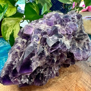 Royal Bahia Elestial Amethyst Cluster with Chevron - Master Healer - Calming - Magic  - Crystal Point - 3rd Eye Chakra - Brazil
