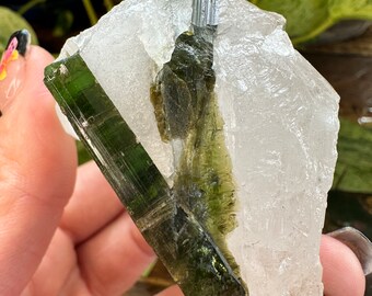 Green Tourmaline in Lemurian Quartz - Heart Chakra - Rare and Powerful Crystal - Higher Heart Awakening