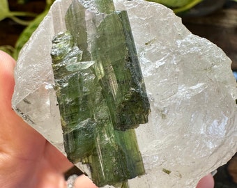 Watermelon Tourmaline In Lemurian Quartz - Heart Chakra - Rare and Powerful Crystal - Higher Heart Awakening - Ancient Wisdom and Knowledge