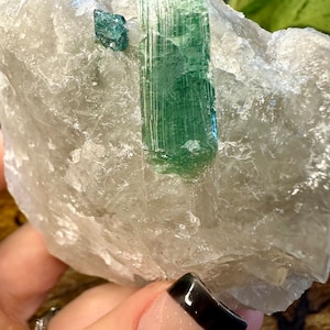 Indicolite Tourmaline in Quartz - 3rd Eye - Throat Chakra - Rare Crystal - Activation - Psychic Abilities - Inner Vision - Channeling