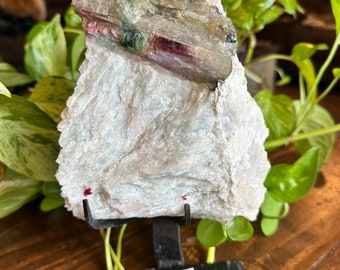 Huge Watermelon Tourmaline in Quartz - Heart Chakra - Higher Heart Awakening - Stunning Rare Stone - Tri-Color Tourmaline