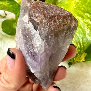 Raw Red Cap Amethyst Crystal Point: High Vibration Stone (244 grams)