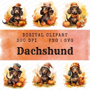 Top 10 Dog Breed: Cute Dachshund Bundle PNG, Autumn vibe sublimation, Fall, Thanksgiving, t-shirt, Mugs, Graphic design Digital Download
