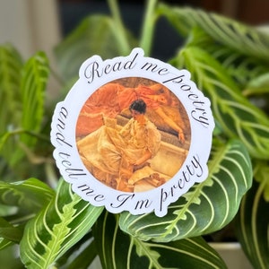 Read me Poetry - Vinyl Sticker - Laptop Decal