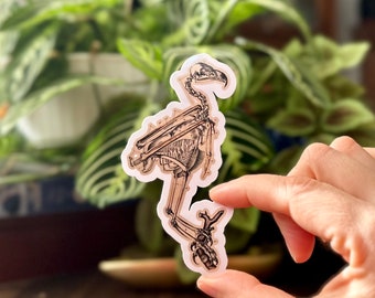 Antique Skeletal Bird - Vinyl Sticker