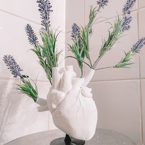 Heart Vase (With Stand) <3