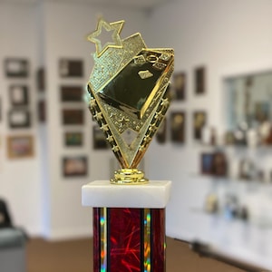 Cornhole Trophy 11.5 inches FREE ENGRAVING