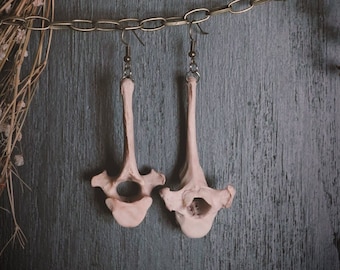 Coyote Bone Earrings, Dangling Vertebrae Ethically Sourced Real Bones
