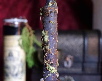May include: A dark purple candle with a textured surface, adorned with dried herbs and spices. The candle sits in a metal holder atop a pine cone base, with melted wax dripping down. The background includes a blurred jar and a decorative chest.