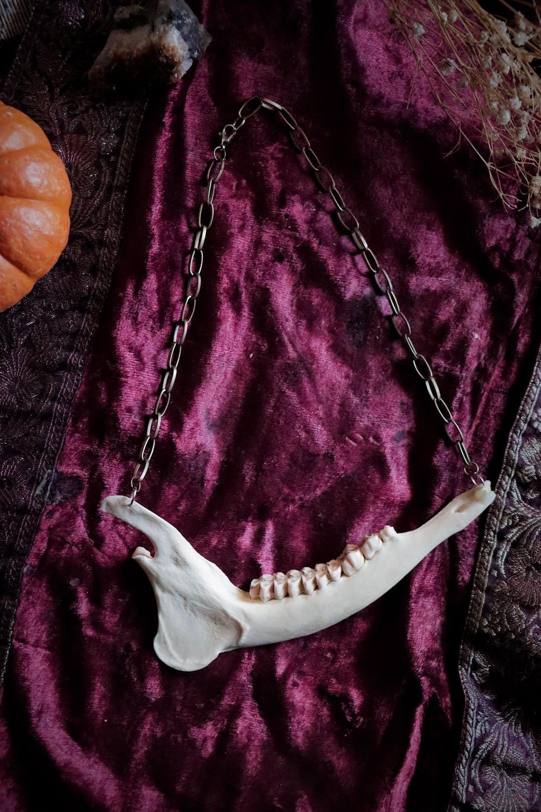 Deer Jaw Choker Necklace Real Bone Jewelry