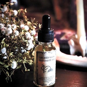 Creosote Chaparral Oil Wildcrafted Creosote Desert Herbalism Oil