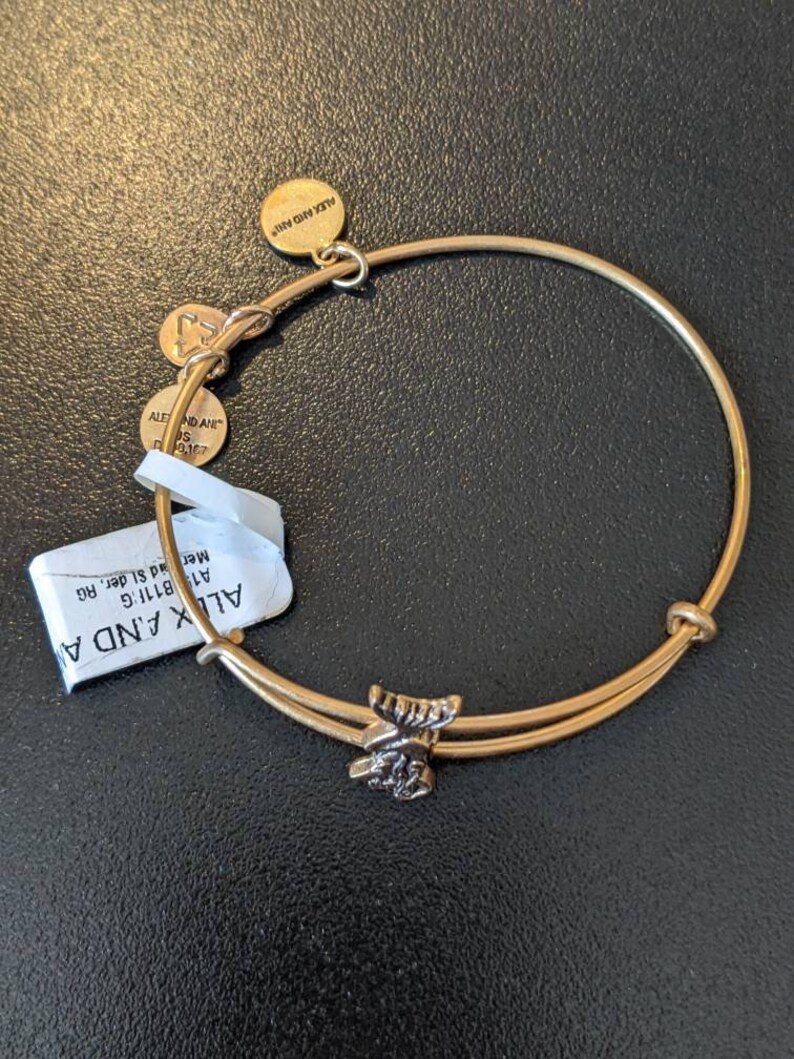 Alex and Ani Mermaid Slider Charm Bangle Bracelet image 3