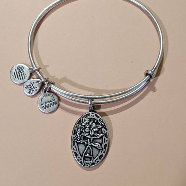 Charm Bracelet Alex and Ani Etsy