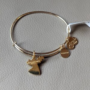 Op de afbeelding: Een gouden armband met een engelbehang. De hanger heeft de woorden "Angel Adornments" en "97101" erop gegraveerd. De armband heeft twee kleine hangers met de woorden "Alex and Ani" en "Find Your Wings" erop gegraveerd.
