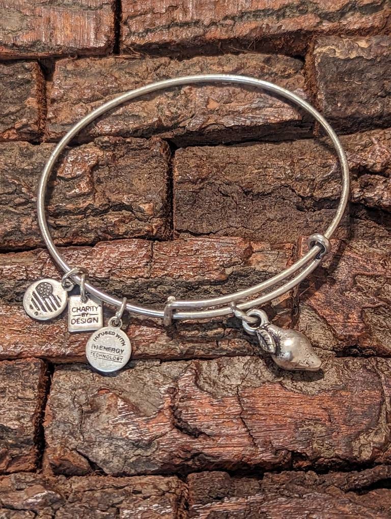Alex and ani zest for best sale life