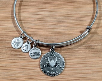 Alex and Ani Cancer Zodiac Sign Charm 